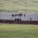 يتسلق الصغار قمة الجدار الحدودي للهو رغم استمرار اعتداءات حرس الحدود الأتراك (الشرق الأوسط)